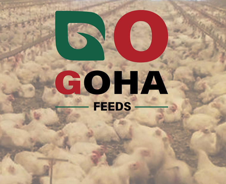 GOHA-FEEDS